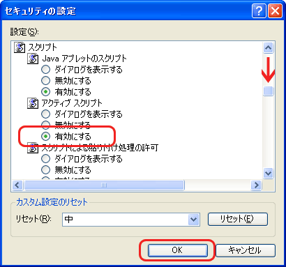 アクティブ スクリプトを有効にする